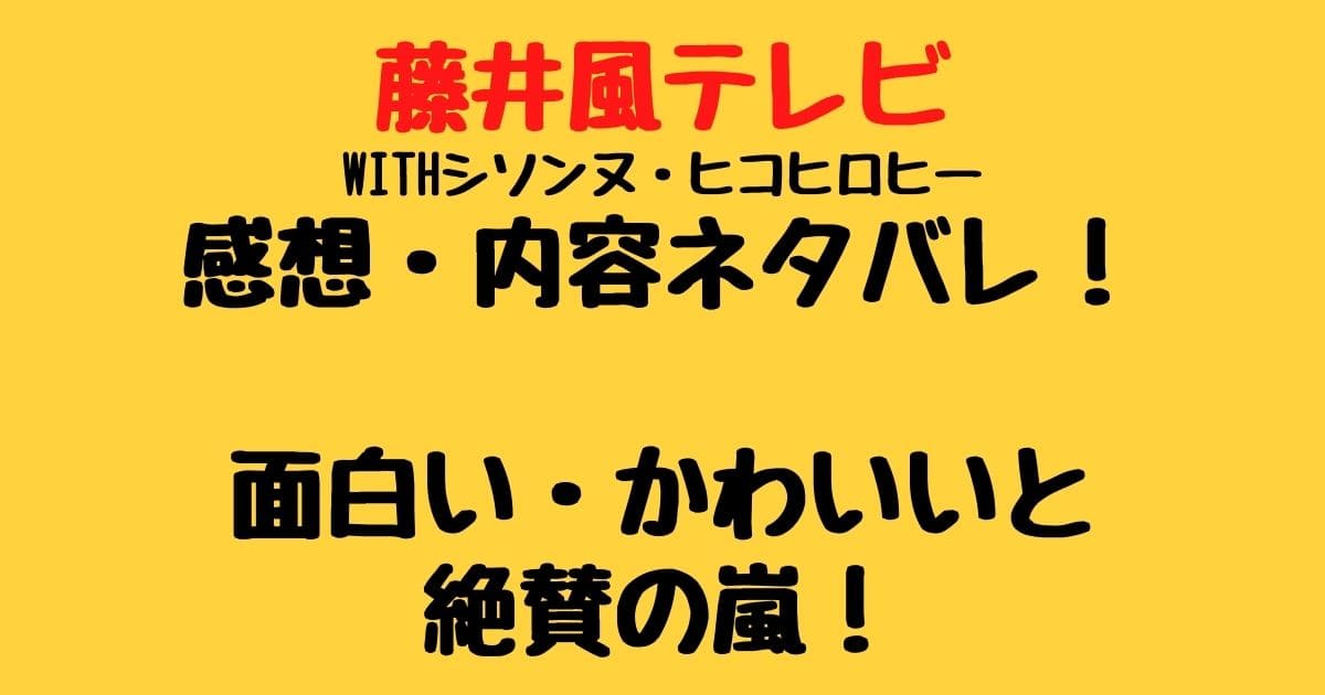 藤井風テレビの感想 内容ネタバレも 面白い かわいいと絶賛の嵐 りーたむブログ